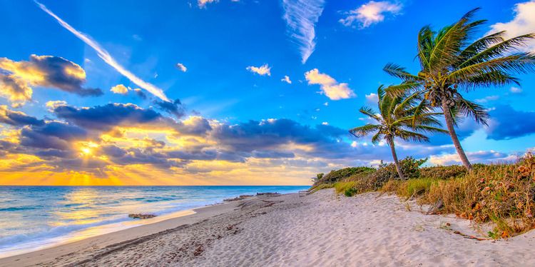 Florida Coastline